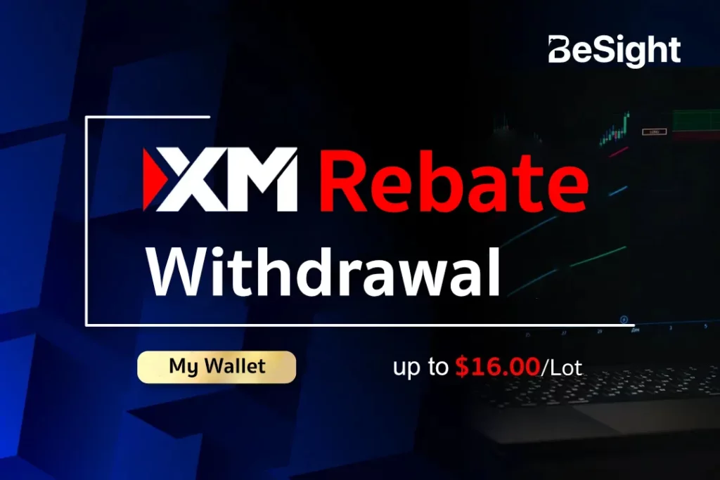Rebate Withdrawal_11zon